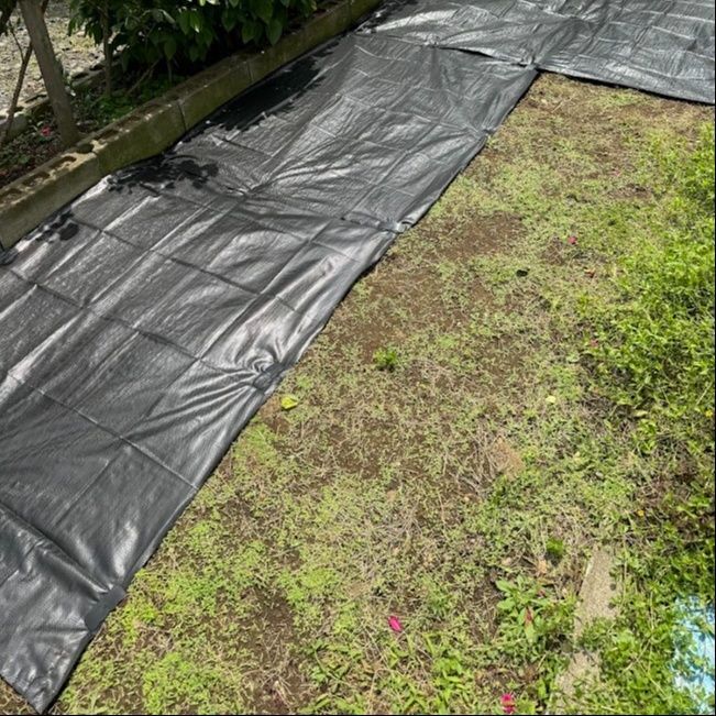 100均で雑草対策