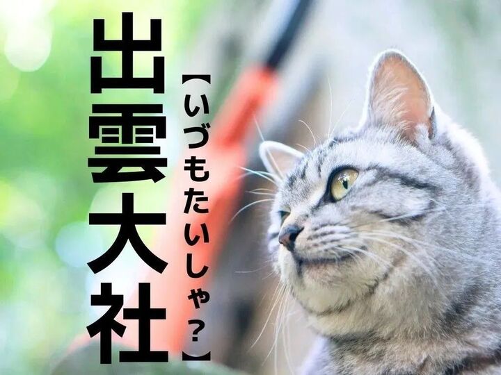 【出雲大社】は「いづもたいしゃ」ではない!?正式名称知ってますか?【日本人が意外と知らない漢字クイズ】