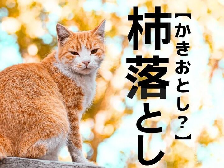 【杮落とし】は「かきおとし」ではありません!なんて読む?【読めそうで読めない漢字クイズ】
