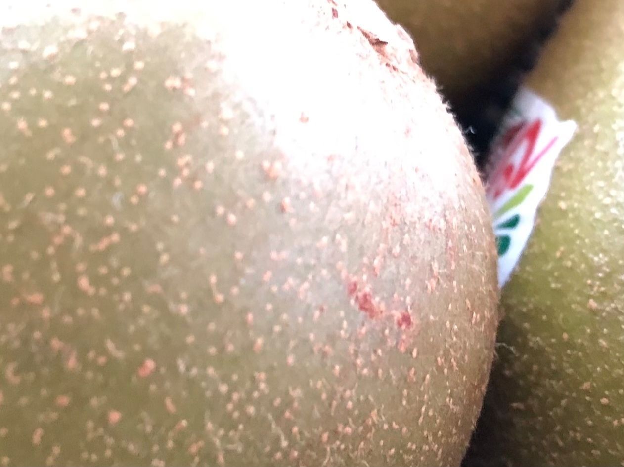 ルビーレッドキウイの特徴