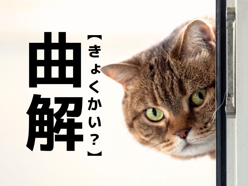 【曲解】を「きょくかい」と読むのは間違い！？正しい読み方知ってる？【漢字クイズ】