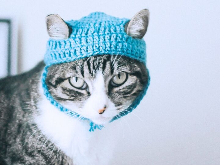 「めだし帽」と「めざし帽」の違い。正しく言えたら天才!?【大人のたしなみ】