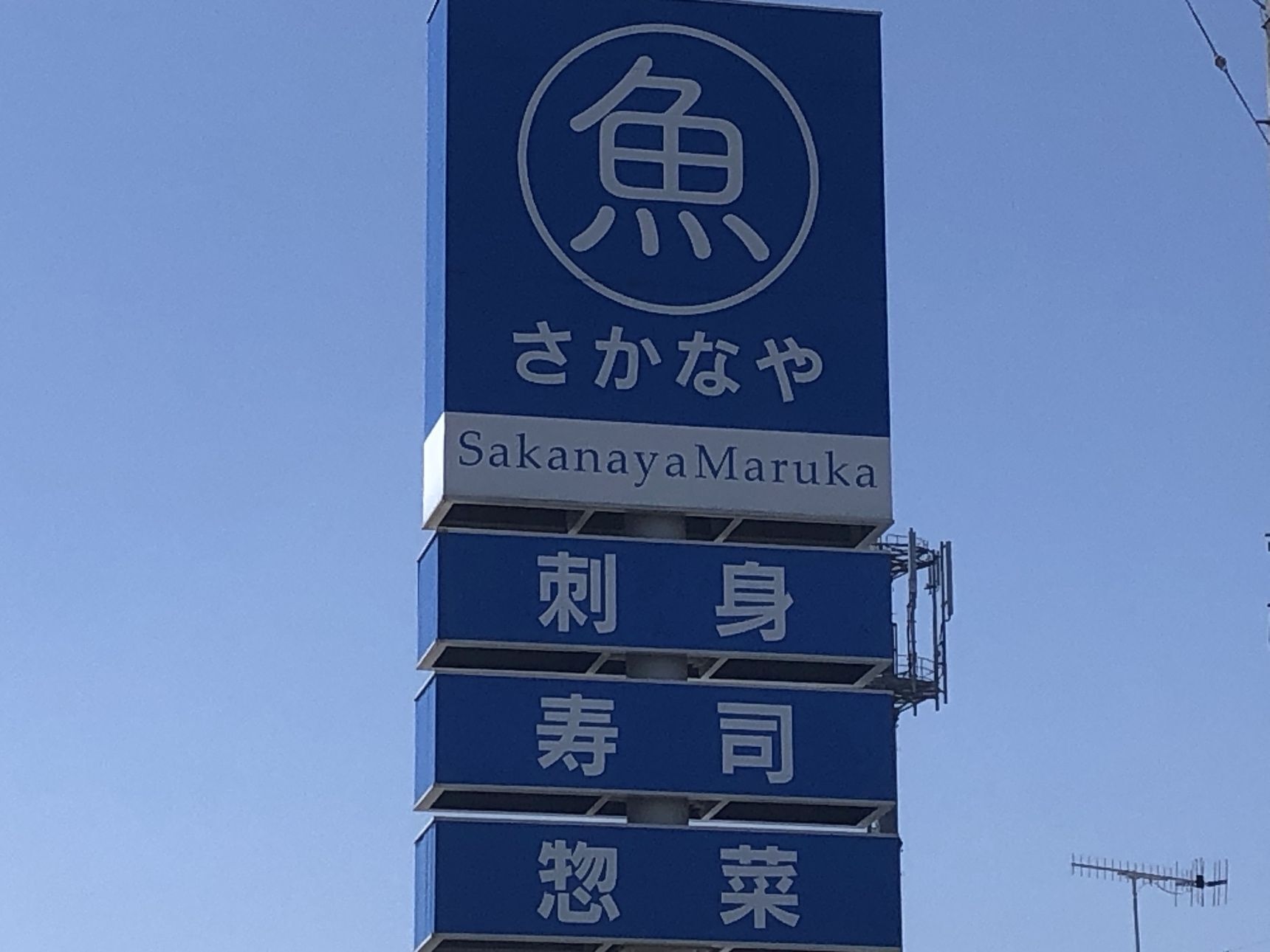 さかなやマルカさん