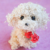 手芸動画/母の日の手作りプレゼントに！セリアのモールで作るトイプードル＋ミニフラワーの作り方