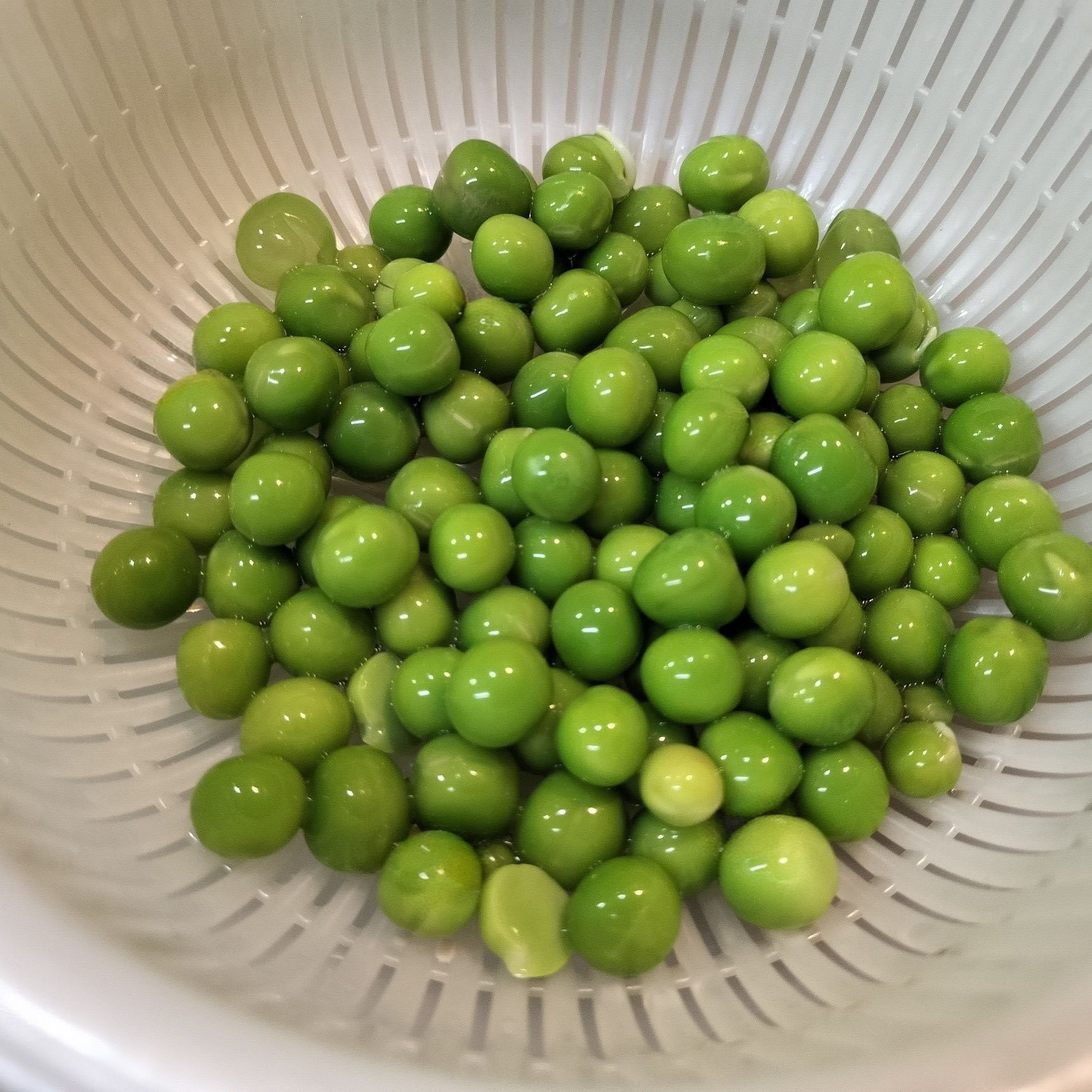 2. グリンピースの豆に少量の天然塩をまぶす→お湯を沸かして、2〜3分茹でる→火を止め、そのまま冷ます（シワシワにならないように！）→ザルにあける