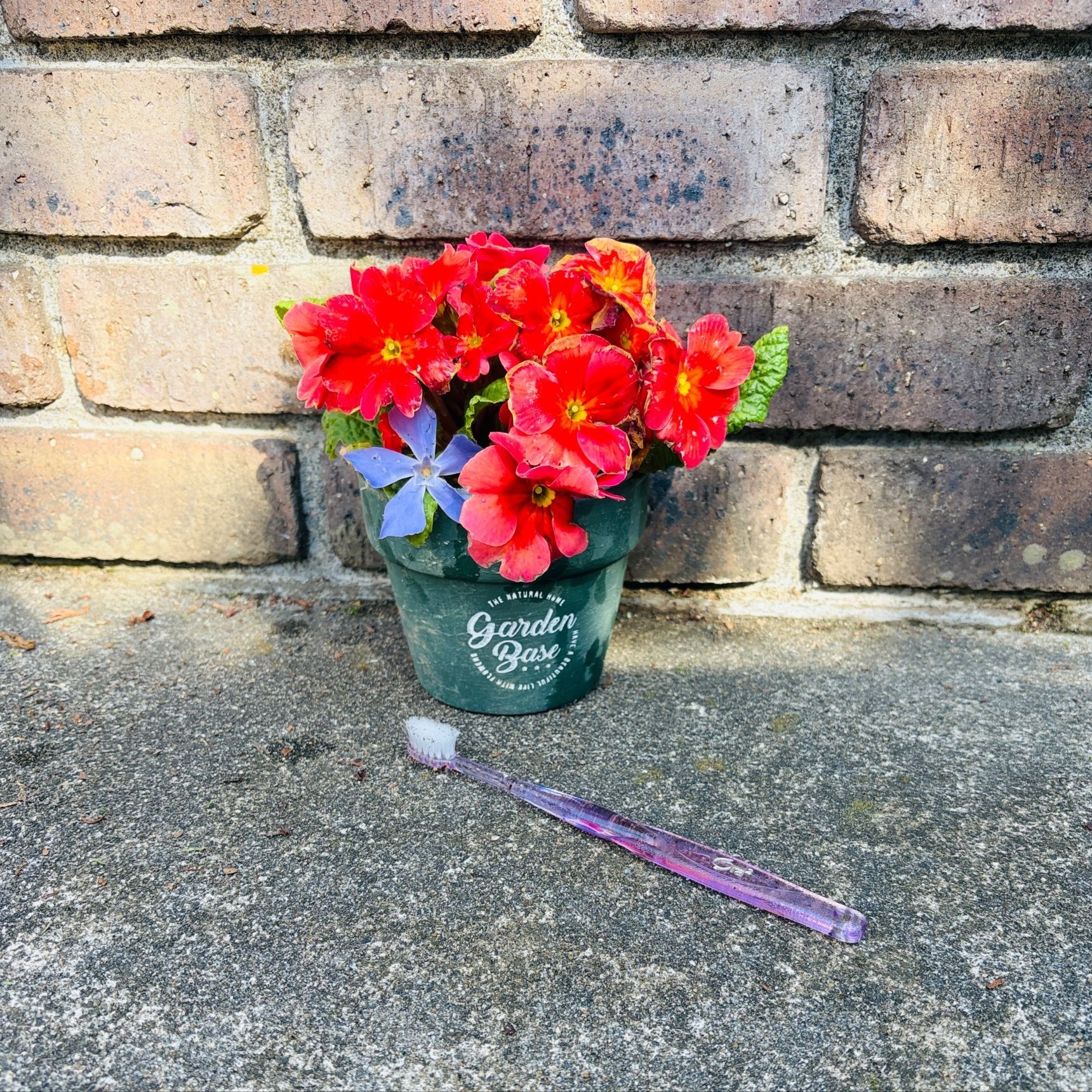 つい後回しにしてしまう外回り掃除のテク！