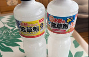 半日で枯れる！そのまま使える...