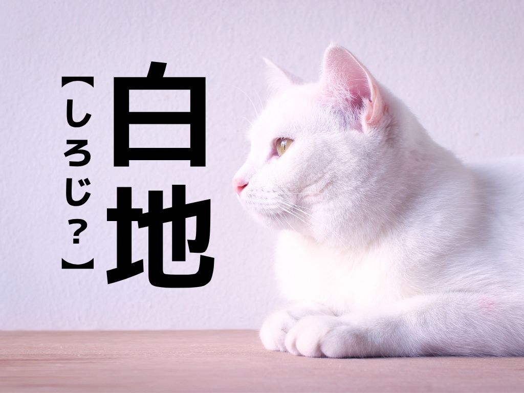 【白地】なんて読む？「しろじ」でも「はくち」でもなく、意外な読み方があるんです！【難読漢字クイズ】