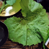 この葉のサクサク天ぷらが美味〜！見て〜器に敷いたら普通のご飯やフルーツがワンランクアップ！