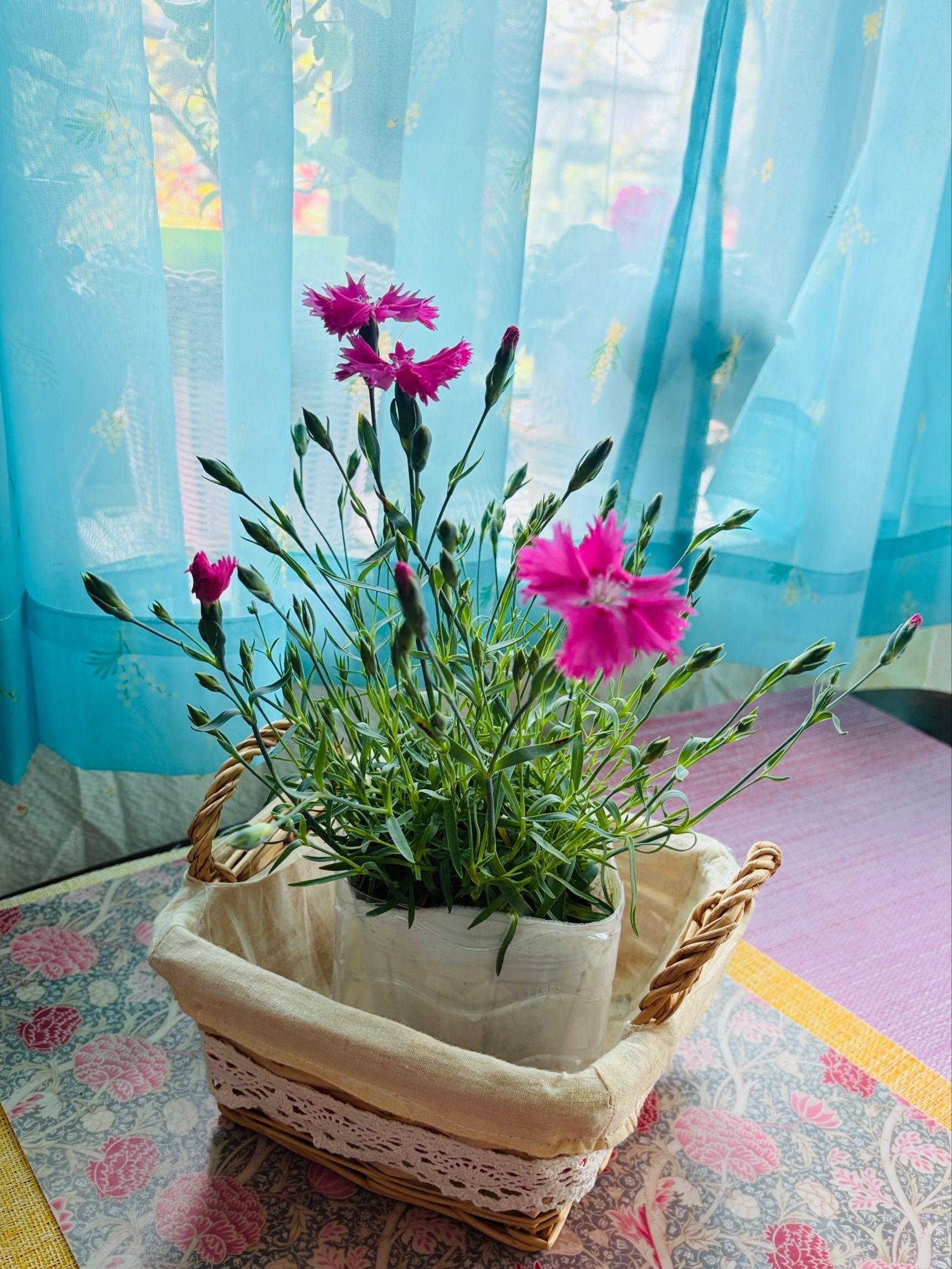 スーパーで安いお花を豪華に見せるテク！