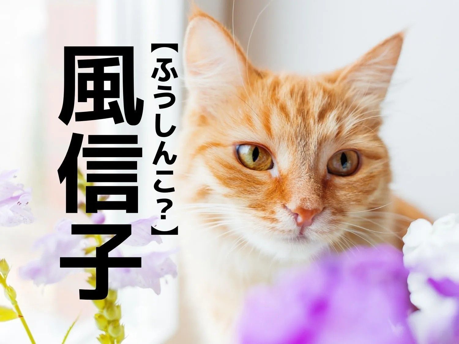 【風信子】なんて読む？「ふうしんこ」ではありませんよ！【読めそうで読めない漢字クイズ】