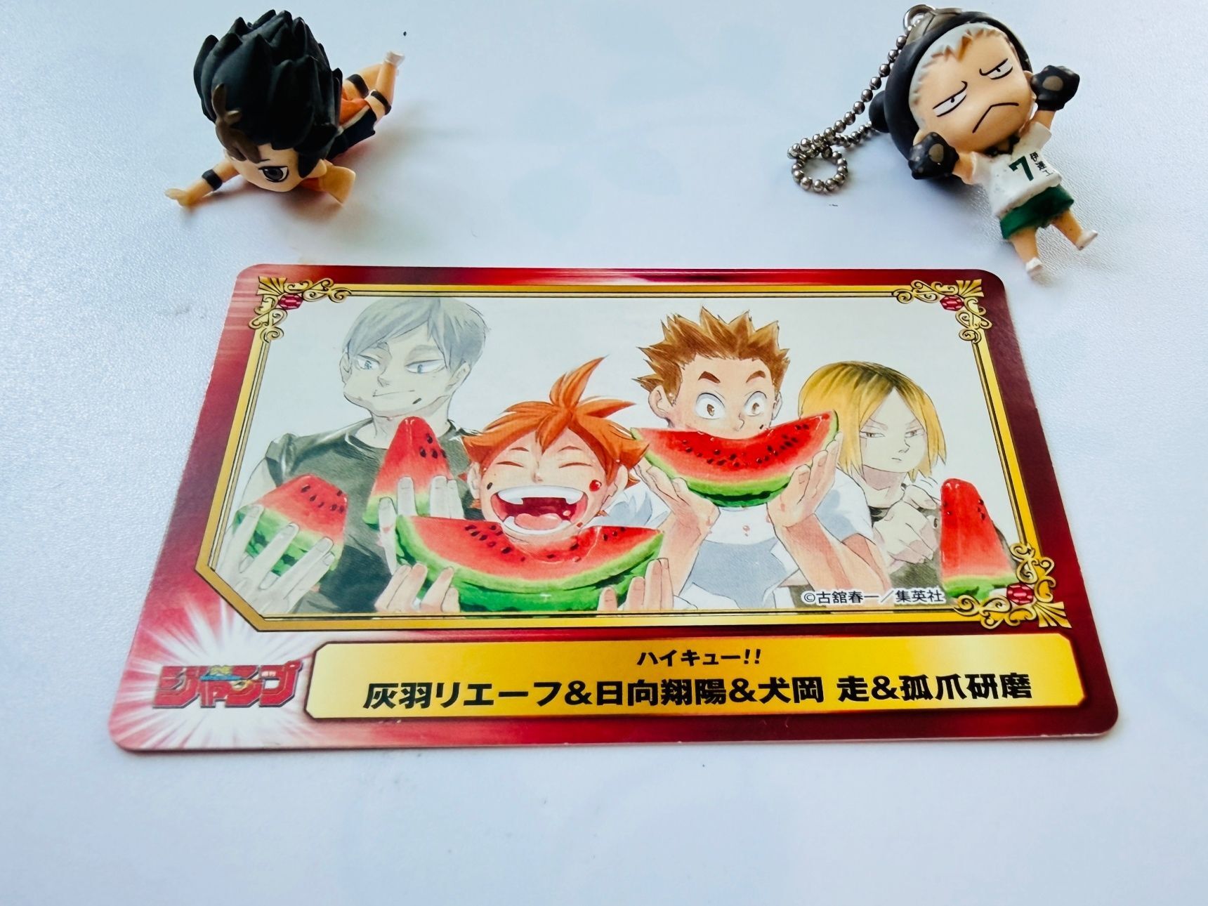 ハイキュー!!グッズより初版本で推し活