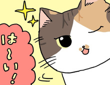 私たちはいつでもココで待ってるわ。【てらねこミー子の日常】