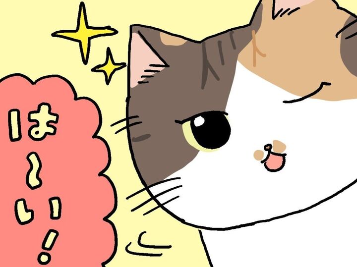 私たちはいつでもココで待ってるわ。【てらねこミー子の日常】