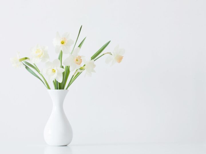 5月11日(月)今日は、思うように物事が進まない要注意日。さらに避けた方がいいコトとは?