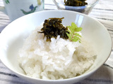【大人のご飯の友！】山椒の葉の佃煮