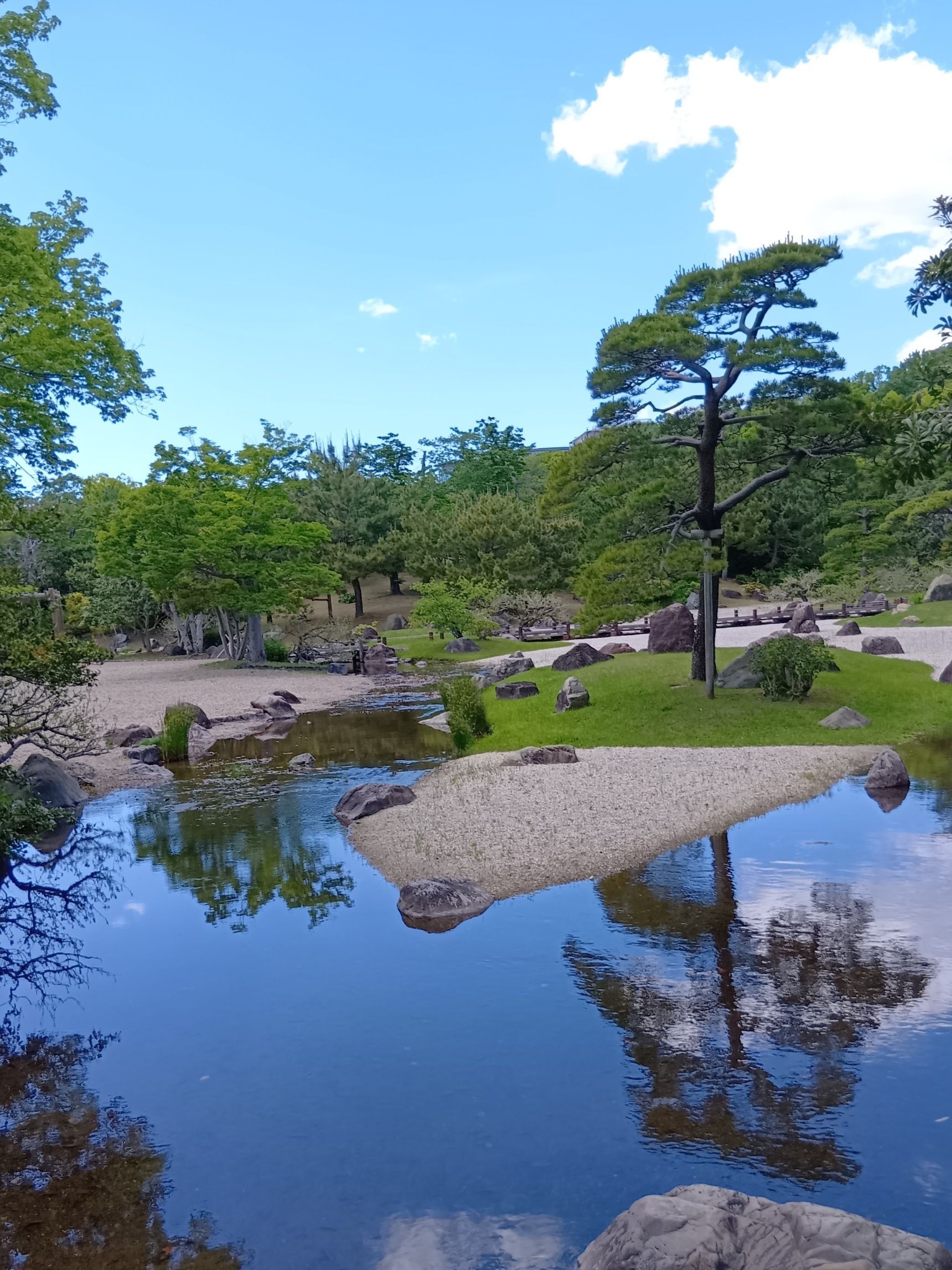 日本庭園の中でも、まばらに、ほんの少しだけ咲いていたニガナ。その控えめな姿が、なんだか少し寂しげで、だからこそ心に残るお花でした。