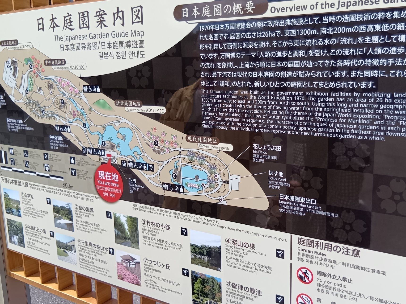 ローズフェスタ会場のすぐそばには、四季の美しさを感じられる 万博記念公園 日本庭園 も隣接していて、華やかなバラと和の風情を一度に楽しめるのも魅力です！