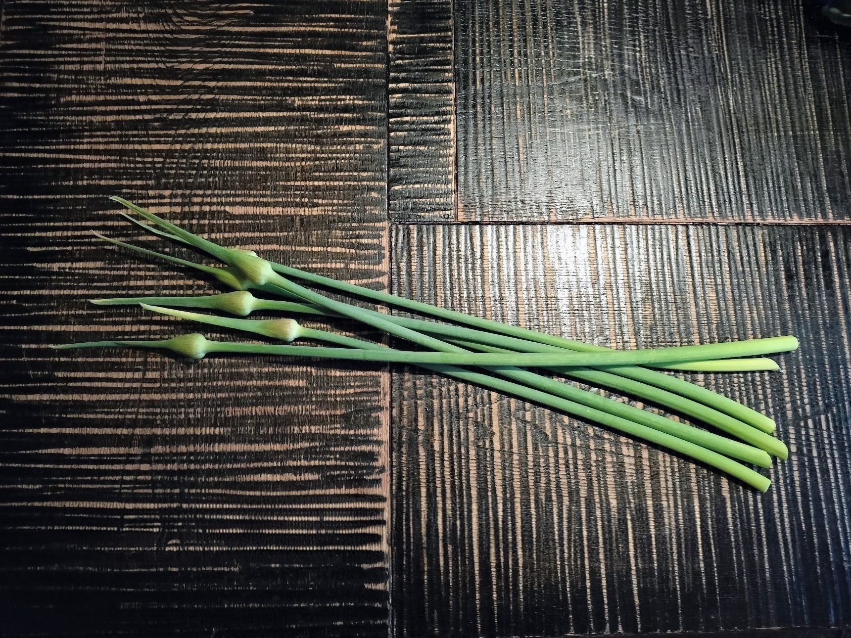 1.にんにくの花茎（蕾付き）を画像の赤線部分で切り分ける　