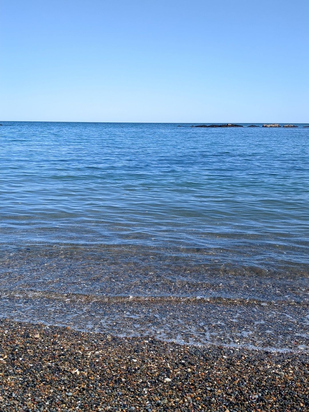 本日の海はこちら！