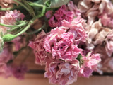 小さな薔薇のドライフラワー！トイットペーパーと同じサイズ！トイレの芳香！