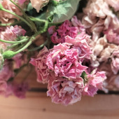 小さな薔薇のドライフラワー！トイットペーパーと同じサイズ！トイレの芳香！