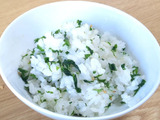 【春の味！】ウコギご飯の素