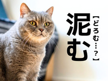  【泥む】なんて読む？「どろむ」ではありませんよ！【読めそうで読めない漢字クイズ】