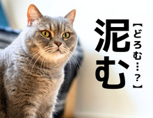  【泥む】なんて読む？「どろむ」ではありませんよ！【読めそうで読めない漢字クイズ】
