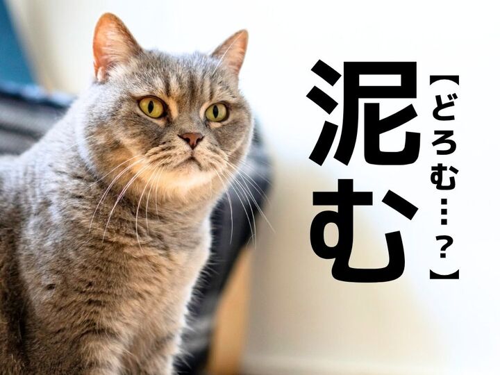 【泥む】なんて読む?「どろむ」ではありませんよ!【読めそうで読めない漢字クイズ】