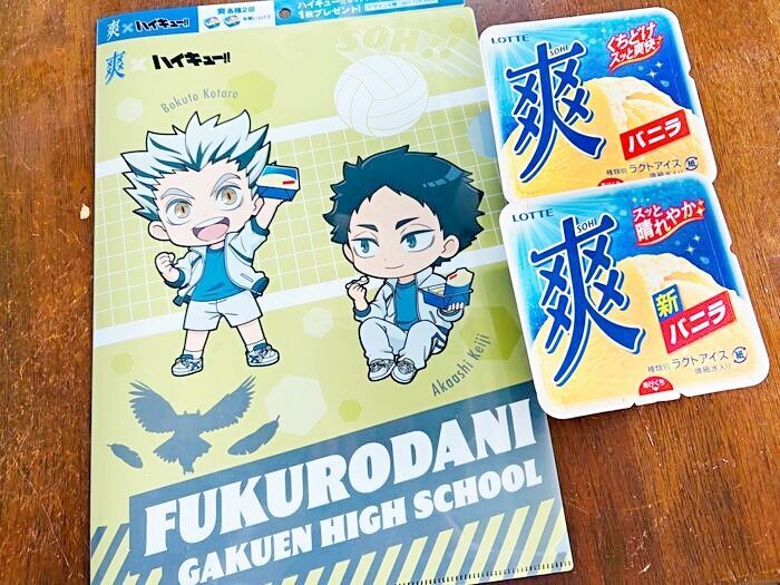 爽を2個買ってもらえる！クリアファイル