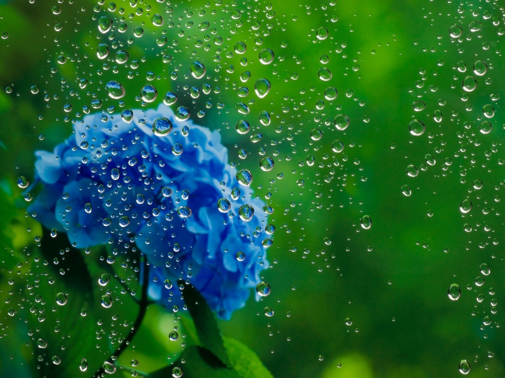 梅雨が来る前に！快適に過ごすための湿気対策