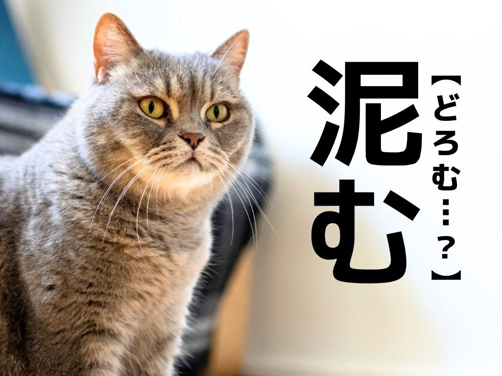  【泥む】なんて読む？「どろむ」ではありませんよ！【読めそうで読めない漢字クイズ】
