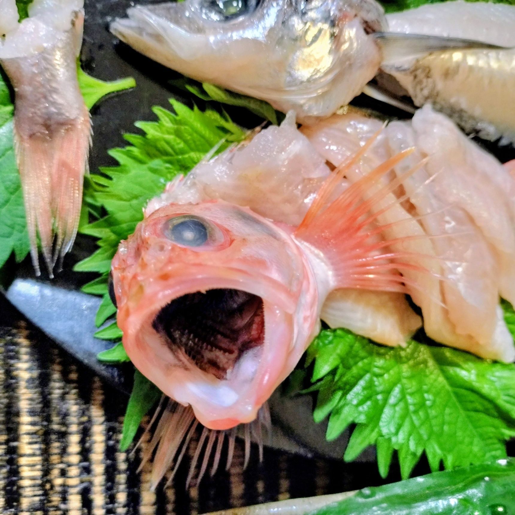 お造りや握り寿司の箸休め！きゅうりと青大豆に味噌プラスα！きゅうり味噌！
