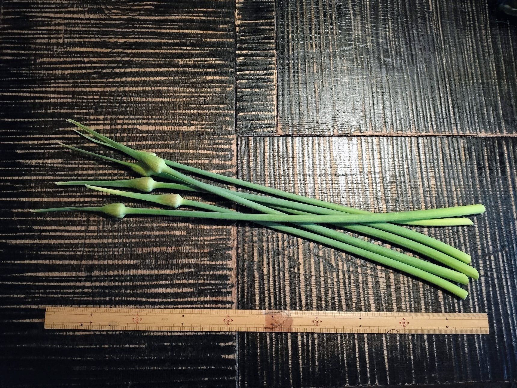 1、にんにくの芽を食べやすい長さに切る→串焼き用は、竹串に刺す