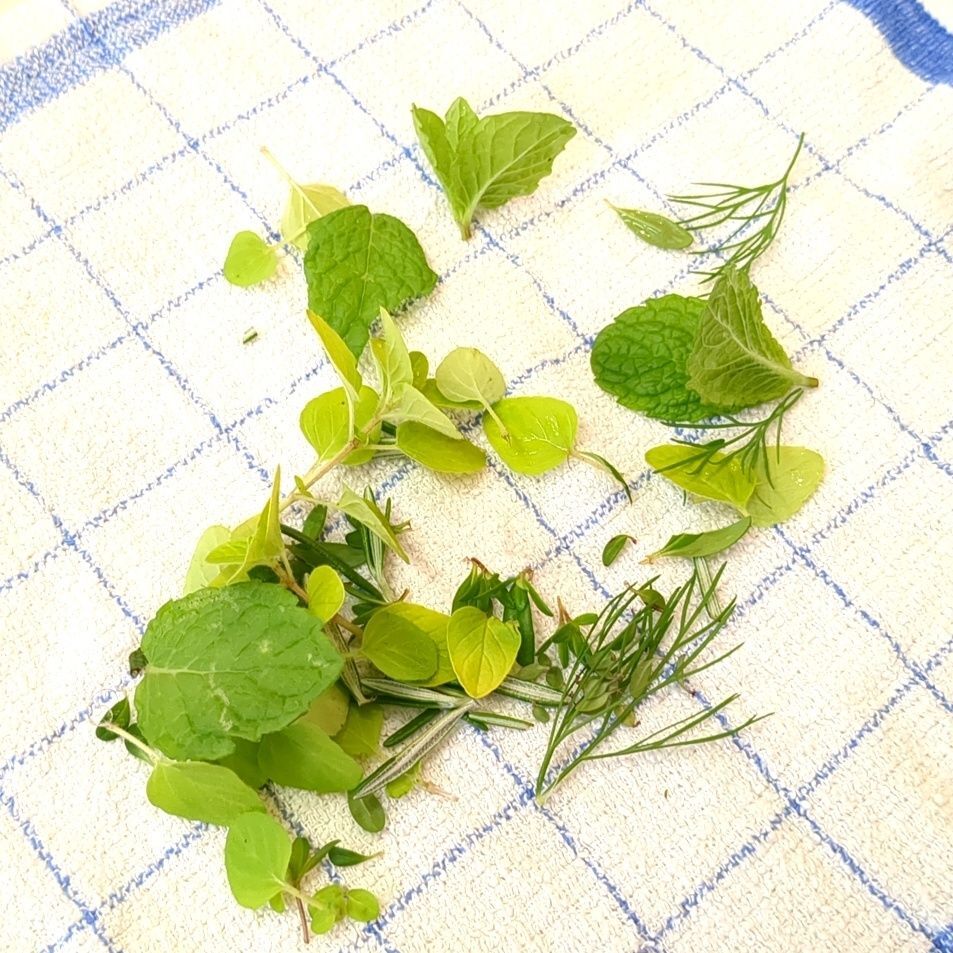 残ったハーブも有効に！