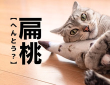 【扁桃】なんて読む？「へんとう」ではありませんよ。実はある食べ物の名前なんです！【意外と知らない漢字クイズ】