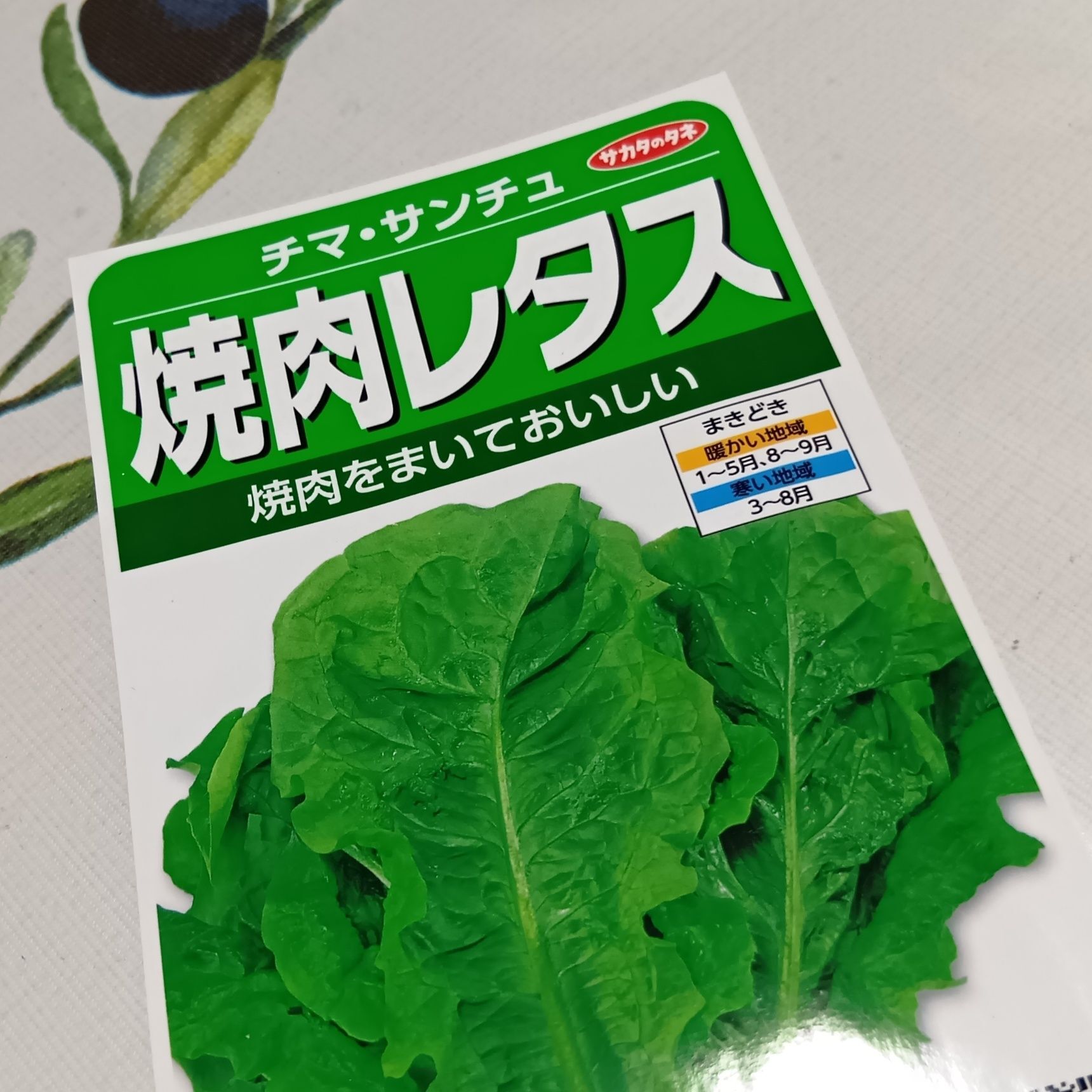 今年購入したのはこちらです。前回使った韓国レタスの種とは、別のメーカーのものになります。