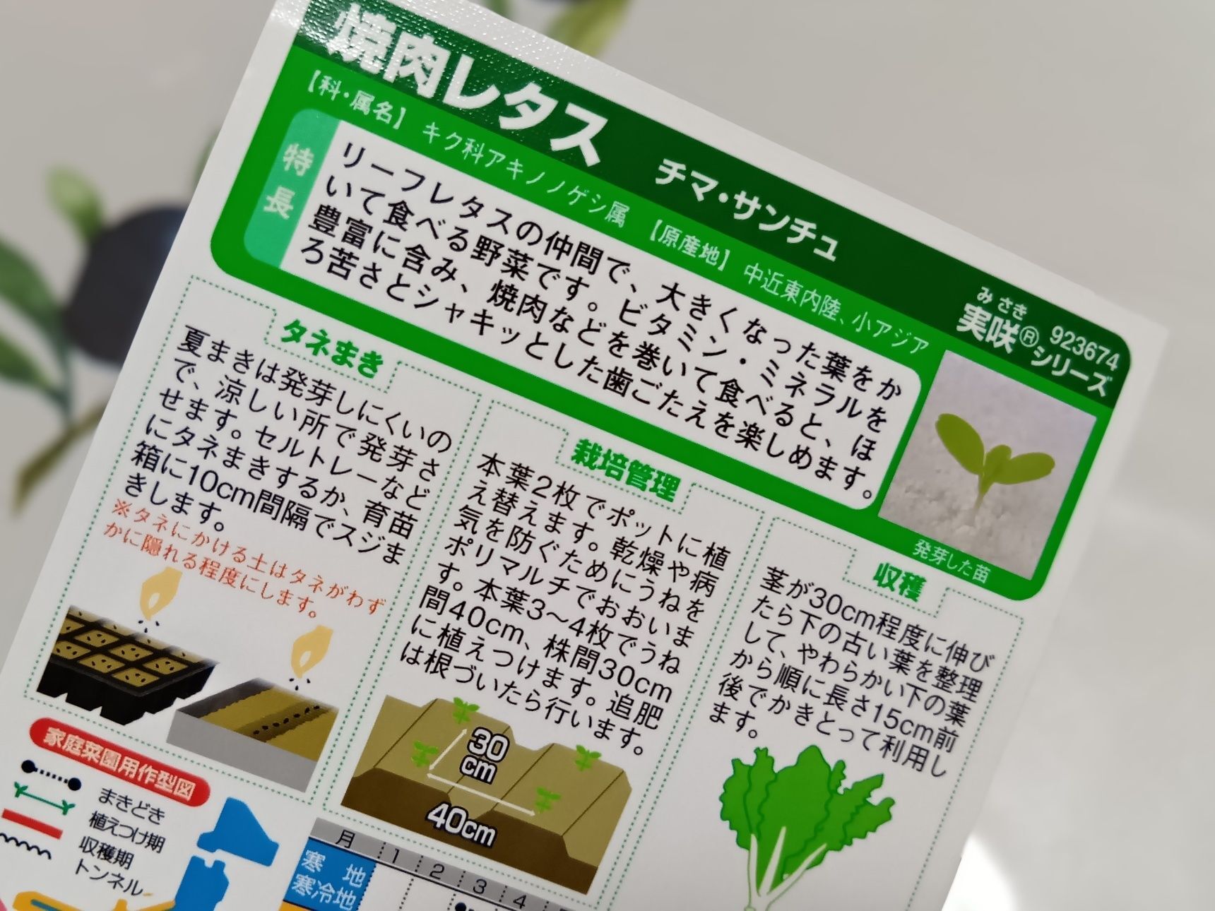 育成ポットを必ず使わなきゃならない考えを捨てました！節約にもなるよね。