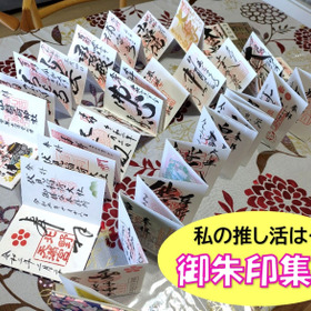 気付いたら・・・推し活に(*´ω`*)