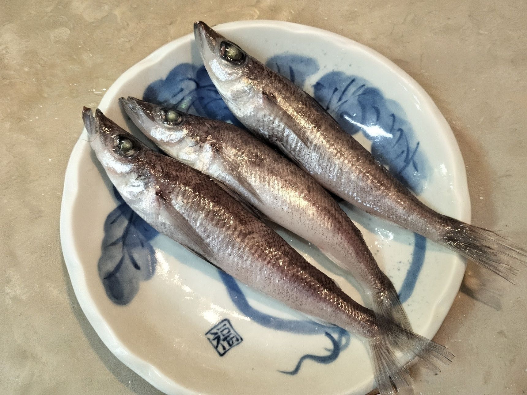 メヒカリ（目光）※25㎝前後