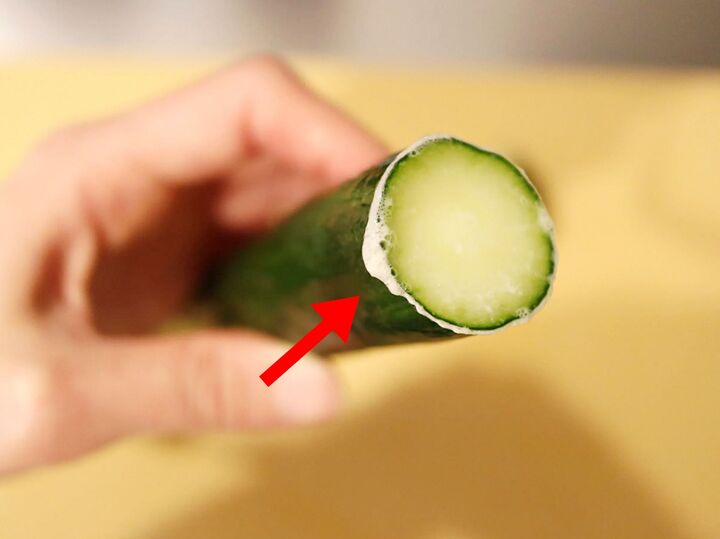 きゅうりの『頭』をくるくるすると→泡が出てきた!実はこれおいしく食べるための方法です。