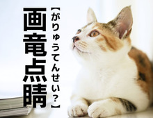 【画竜点睛】は「がりゅうてんせい」と読まない！？正しい読み方知ってる？【意外と知らない漢字クイズ】