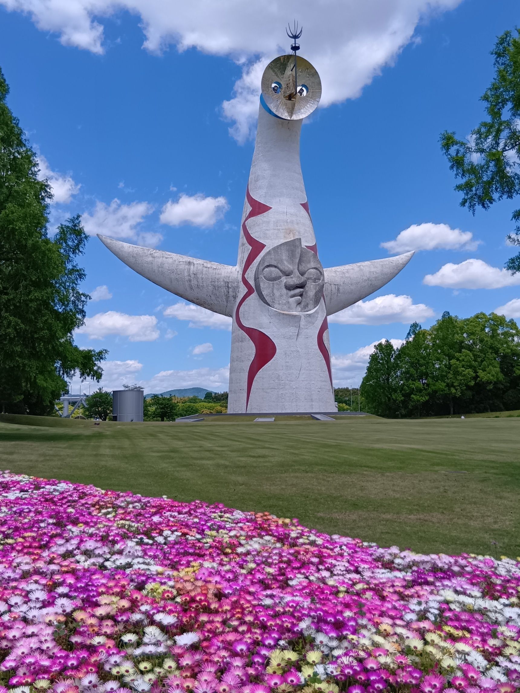 その美しさから、春の花壇の主役として人気があります！！！