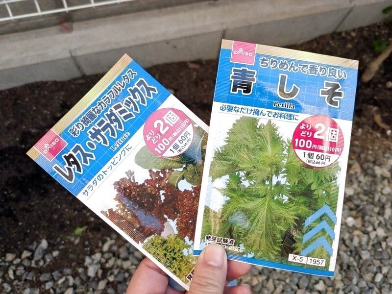 ダイソー野菜の種を使用しました。