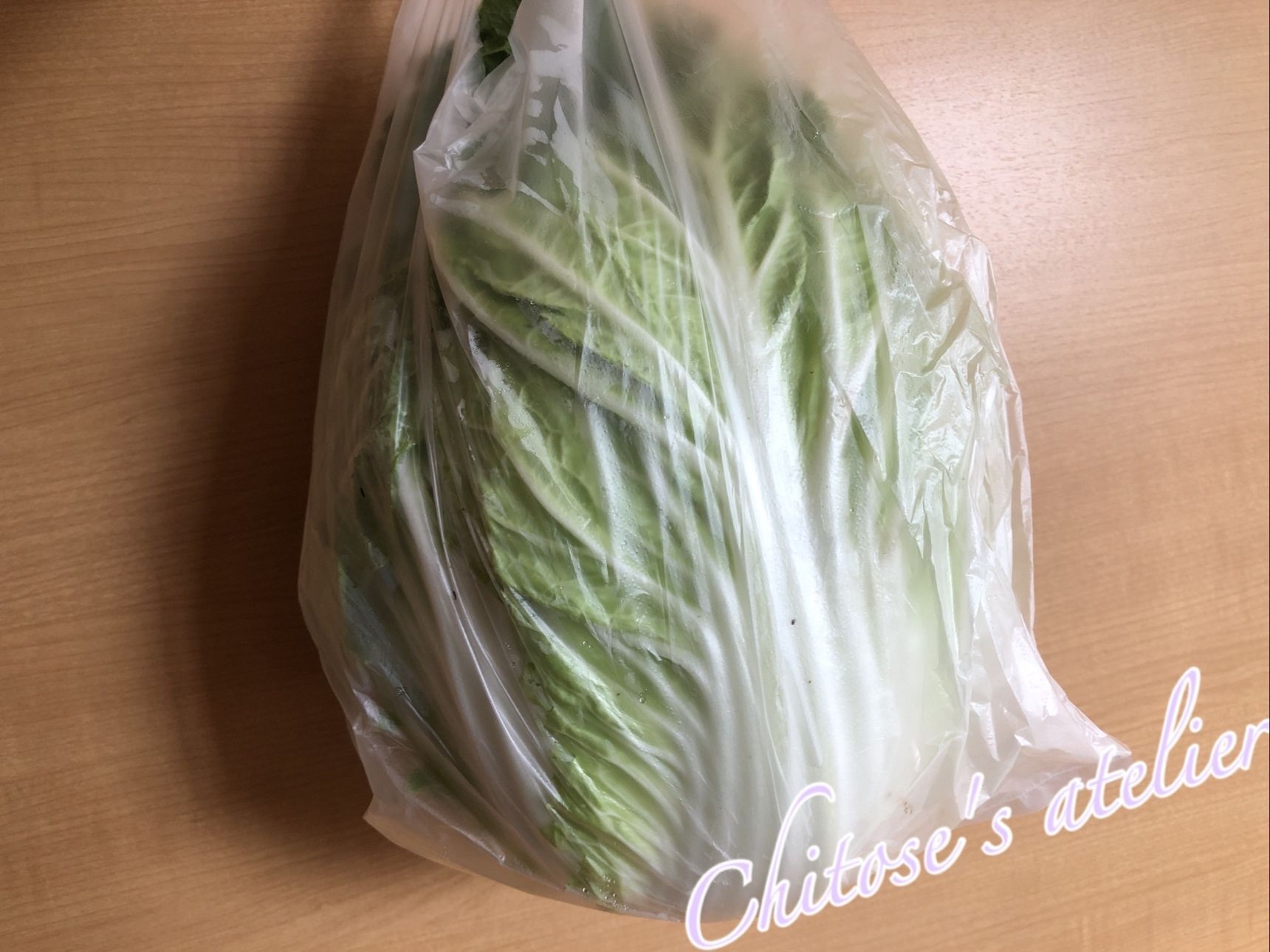見て、このボリューム！宮城はまだまだ白菜が旬みたい