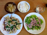 妻が手が痛そうなので、夕飯を作ってみた