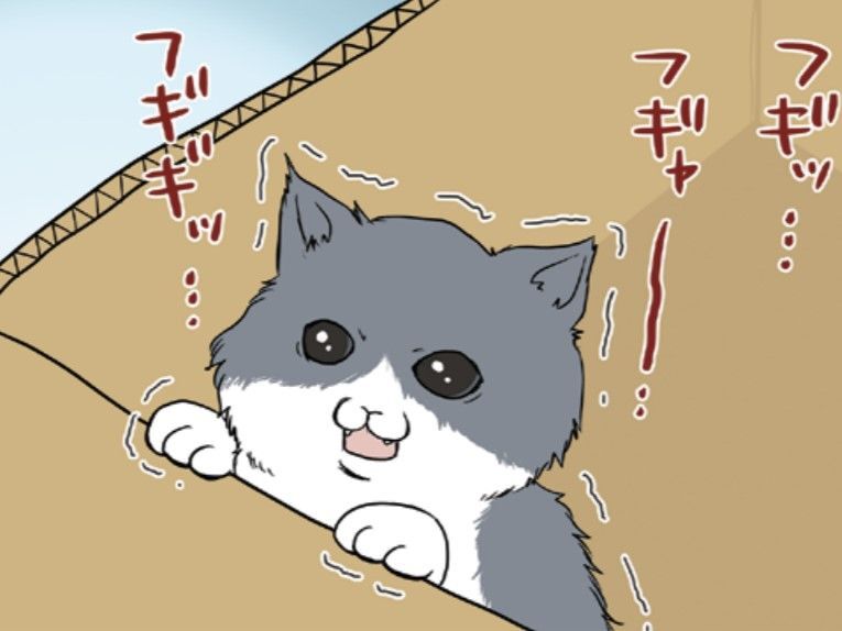 「変な声がしない？」必死に鳴いていたのは捨てられた仔猫！そのとき愛犬が取った行動は…【おさんぽですし！#18】