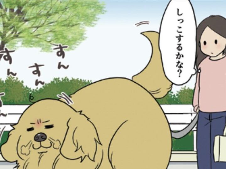うちの愛犬は"スナイパー"だった!?突然の特技発動に…「恐ろしいコ…!!」【おさんぽですし!#15】