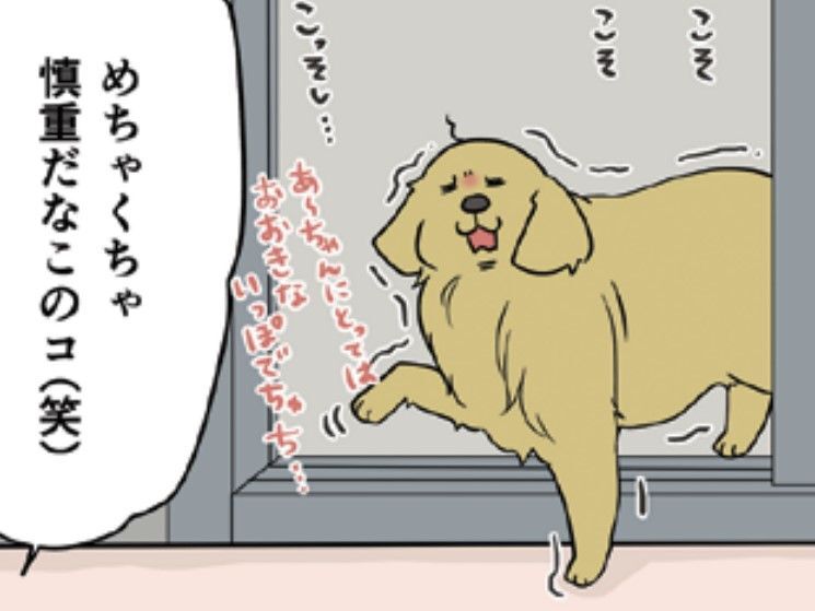 あーちゃん、初めてのお庭へ。「このコ慎重すぎない？」→本気出したらこうなった！【おさんぽですし！#3】